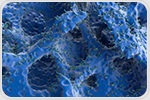 Restoring ADAR2 enzyme reduces metastatic spread in osteosarcoma