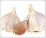 Auxin-Induced Transcriptional Complex Regulates Garlic Somatic Embryogenesis