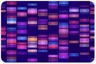Scientists uncover shared gene signatures that reveal how mammals age