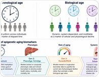 New biological age tools could reveal health risks before symptoms appear