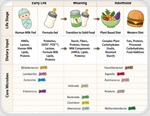 Synthetic gut communities reveal how diet rewires the microbiome