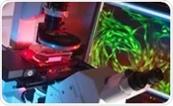 Multiplex Immunofluorescence Expands the Molecular Resolution of Clinical Pathology