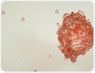 Bispecific Antibodies Target Tumors While Sparing Healthy Tissue