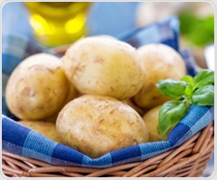 Prebiotic fiber supplement reduces harmful gut metabolites and improves liver health