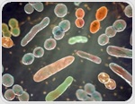 Gut microbes may help explain why obesity and type 2 diabetes become harder to reverse