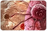 Purdue develops next-generation platform to accelerate cancer drug discovery