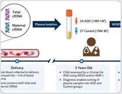 Maternal blood test reveals prenatal methylation clues linked to autism risk
