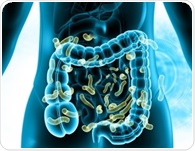 Gut microbes emerge as potential players in estrogen-driven cancers
