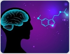 Melatonin dampens fetal membrane inflammation linked to preterm birth