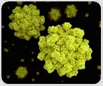 Yale study offers critical clues for future norovirus treatments