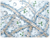 Supramolecular Shampoo Uses Self-Assembly to Replace Polymer Thickeners