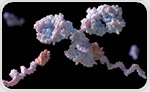 SERS in Proteomics