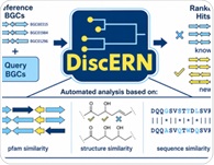 Genome-mining tool reveals new antibiotic hidden in a silent gene cluster