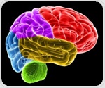 Study reveals how adolescent brain remodeling reshapes memory retrieval