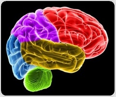 Damaged myelin alters sleep brain rhythms in neurological diseases