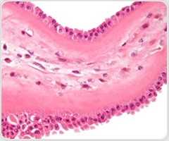 Discovery of lung protein offers hope for pulmonary fibrosis