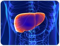 Study tests chronotype’s liver link and finds no significant association
