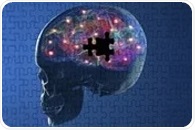 Clinical trial finds stem cell brain transplants feasible for Parkinson's disease