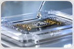 Nanozyme Aptasensors Show Promise for Faster Food, Health, and Environmental Testing