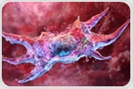 Spermidine boosts key cellular processes linked to aging in early research