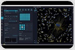 Advancing 3D imaging, automation, and phenotypic discovery with AI-driven high-content screening