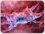 Spermidine boosts key cellular processes linked to aging in early research