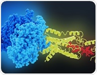 GLP-1 receptor activation linked to lower depression and bipolar disorder odds