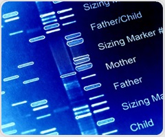 Experimental therapy helps brain cells bypass genetic deletions