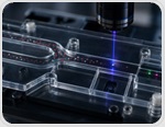 Deep-Learning Holography Detects Elusive Circulating Tumor Cells in Prostate Cancer