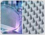 Microneedle patches turn skin into a window for immune bioanalysis