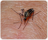 Natural compounds could combat drug-resistant malaria and babesiosis