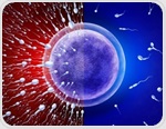 Study links higher body fat to lower sperm counts despite normal BMI