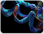 Restricting select amino acids may mimic protein restriction’s healthy aging benefits