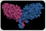 Pioneering gene therapy for rare immune disorder shows promise in early pre-clinical studies