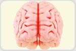 New gene therapy strategy uses the brain's own glymphatic transport system for drug delivery