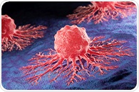 Novel drug puts cancer cells under extreme metabolic stress