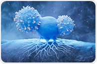 International team builds comprehensive cancer models for future drug development