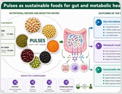 Why pulses could play a bigger role in healthy and sustainable diets