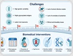 Long-acting HIV prevention tools could help close the gap before a vaccine arrives