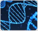 Study reveals evolutionary shift in gene crucial for the human nervous system