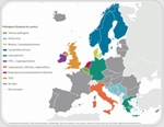 Heavy rainfall and flooding raise infectious disease risks across Europe