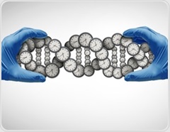 Simple biological age score flags higher cognitive decline risk in older adults