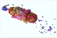 What Are PROTACs and How Do They Work?