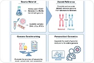 New human genome benchmark captures both parental copies with near-perfect accuracy
