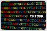 CRISPR-Cas orchestrates a layered defense network to fight bacterial viruses