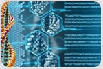 CRISPR Gene Editing Reveals How Enhancer Hierarchies Regulate Gene Expression
