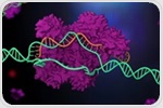 Researchers identify genes that hinder CRISPR editing efficiency