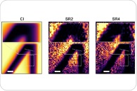 Novel Quantum Optical Setup Delivers Fourfold Resolution Boost in Microscopy