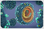 Method Reveals How Influenza A Takes Over Host Cell Machinery