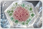 Surface Chemistry Sorts Nanoparticles Inside Growing Calcite Crystals